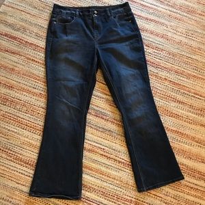 Lane Bryant Boot Cut Jeans